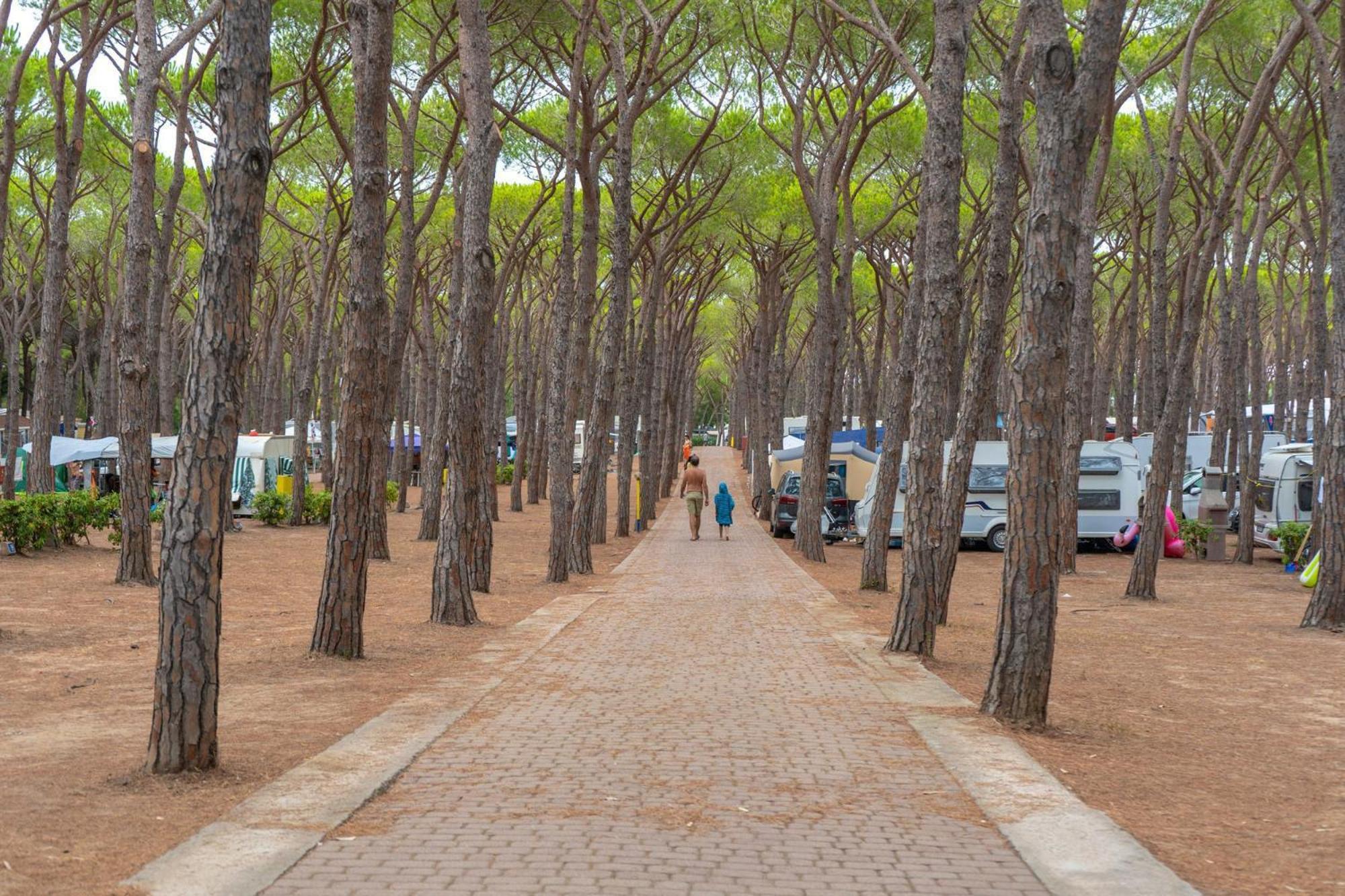 Camping Village Baia Blu La Tortuga 아글리엔투 외부 사진